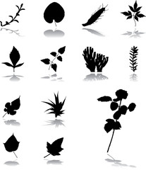 Set icons - 126. Leaves