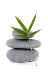 stack of stones and green leaf
