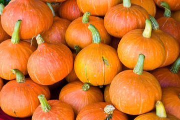 pumpkins  on the market