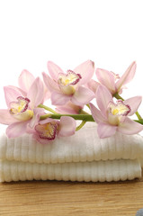 Obraz na płótnie Canvas piękna różowa orchidea na ręcznik