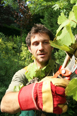 jardinier paysagiste taille et entretien la vigne en été