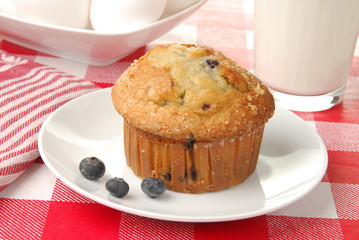 Blueberry muffin
