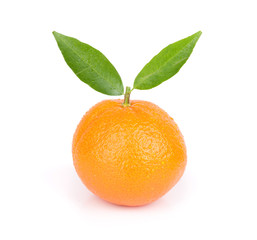 Fototapeta na wymiar fresh tangerine