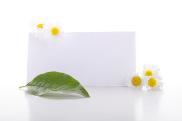blank paper