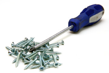 Screwdriver and small metal screws on a white background