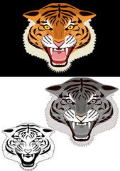 Tiger head illustration