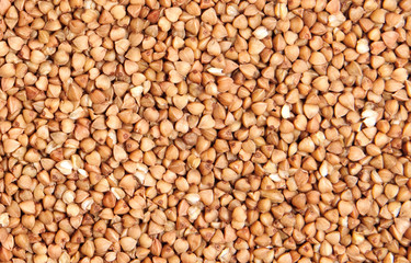buckwheat;