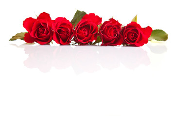 Red roses on white isolated background