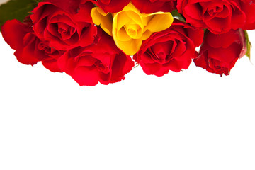 Red roses on white isolated background