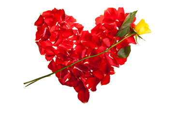 Red roses petals Valentine's Day