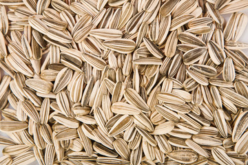 Sunflower seeds