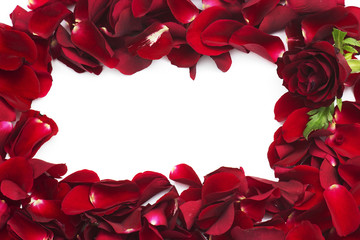 frame of red rose petals