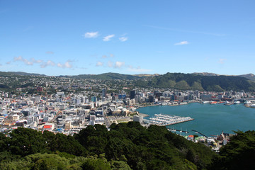 Fototapeta na wymiar Wellington, Nowa Zelandia