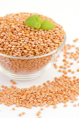 Bowl of red lentils