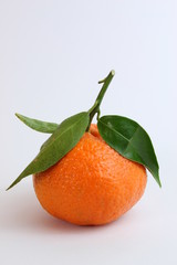 Clementine