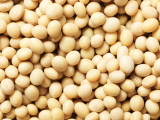soy beans