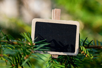 blackboard attached to a tree branch in the forest
