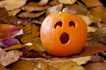 Surprised Jack-O-Lantern with Leaves