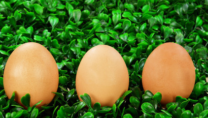 tre uova sull'erba