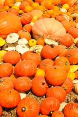 Pumpkins piled on bales of straw on a sunny day.