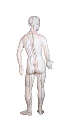 Figur mit Akupunkturpunkten / Meridianen