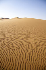 Sand desert