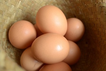 jajka i gniazdo