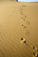 Sand desert
