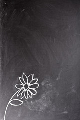 daisy drawn in chalk