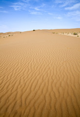 Sand desert
