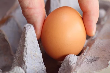 Fotobehang Eieren Hühnerei  © lagom