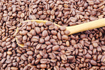 Coffee beans.