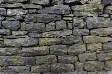 mossy wet stone wall