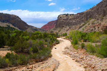 Rushing River in Zion