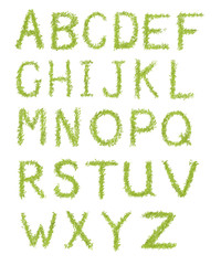 Alphabet letters of green grass isolated on white