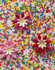 colorful backgroun made of eatable floral patterns