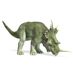 Dinosaur Styracosaurus. 3D rendering with clipping path and