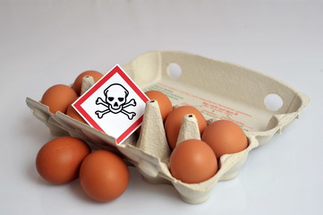 Mit Dioxin verseuschte Eier im Eierkarton mit dem Giftsymbol