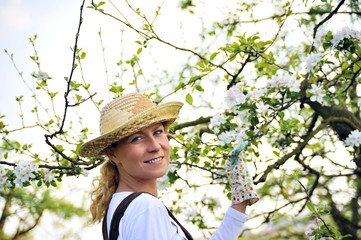 Young woman gardening - in apple tree orchard