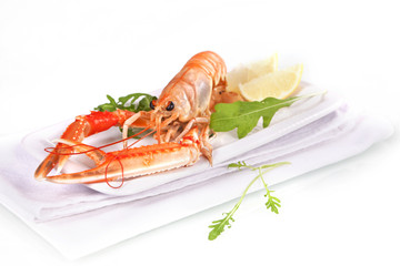 Seafood. Langoustine.