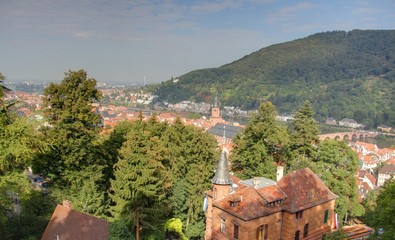 vallée du neckar