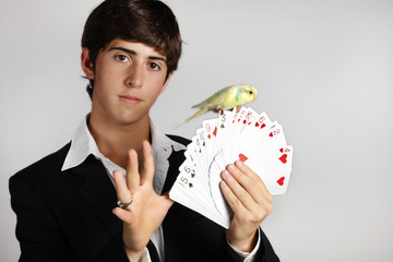 truco de magia de joven  mago con cartas de poker  y periquito © manuart