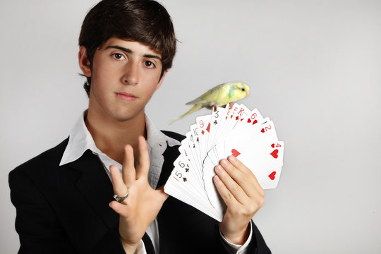 truco de magia de joven  mago con cartas de poker  y periquito