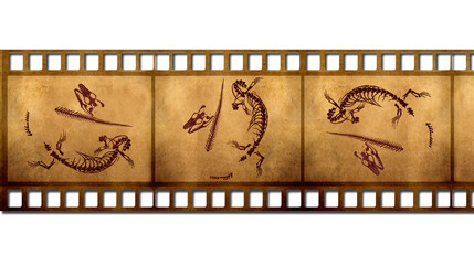 Fototapeta premium Fossils in the old film
