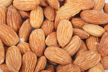 Fototapeta premium Apricot kernel