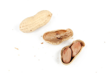 Obraz premium Peanut