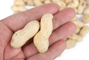 Peanut