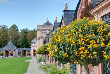 mosquée rose