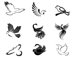 Bird symbols