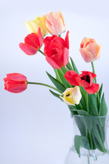 Beautiful bouquet of tulips